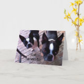 De Kaart van het Moederdag van Boston Terrier (Gele Bloem)
