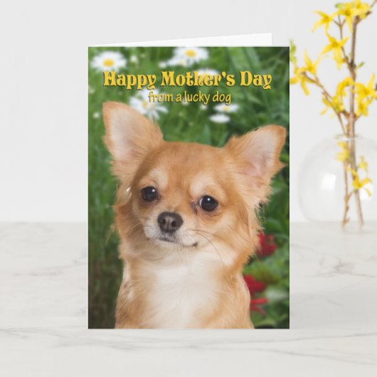 De Kaart van het Moederdag van Chihuahua (Gele Bloem)