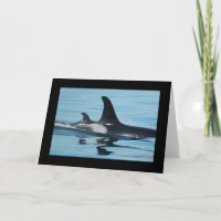 De Kaart van het Moederdag van de orka/van de Orka