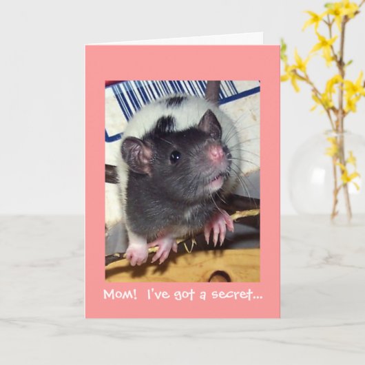 De Kaart van het Moederdag van de Rat van het (Gele Bloem)