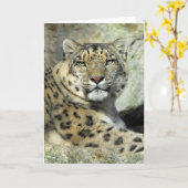 De Kaart van het Portret van Lepord van de sneeuw (Gele Bloem)