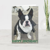 De kaart van het portretgroeten van Boston Terrier (Voorkant)