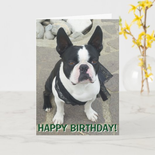 De kaart van het portretgroeten van Boston Terrier (Gele Bloem)