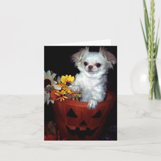De Kaart van het Puppy van Halloween (Voorkant)