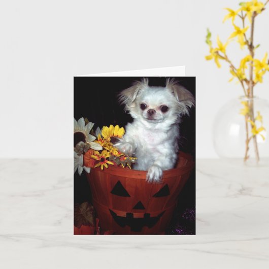 De Kaart van het Puppy van Halloween (Gele Bloem)