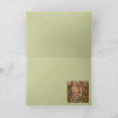 De kaart van het Show van de boomstam in kleur (Binnen)