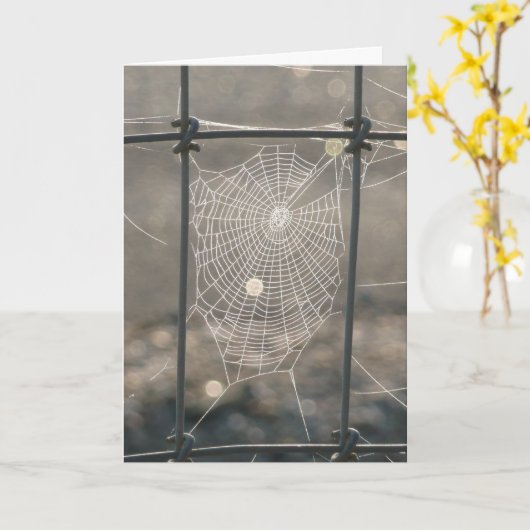 De Kaart van het spinneweb (Gele Bloem)