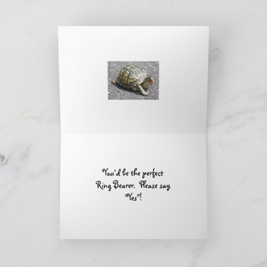 De Kaart van het Verzoek van de Drager van de Ring (Binnen)