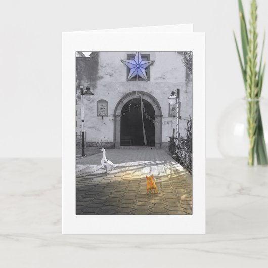 DE KAART VAN KERSTMIS CHIHUAHUA (Voorkant)