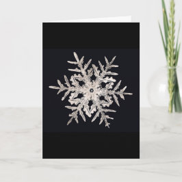 De Kaart van Kerstmis van het Genie van Bentley