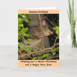 De Kaart van Kerstmis van het Opossum van