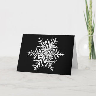 De Kaart van Kerstmis van Wilson Bentley van de