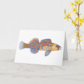 De Kaart van oranje-Throated Darter (Gele Bloem)