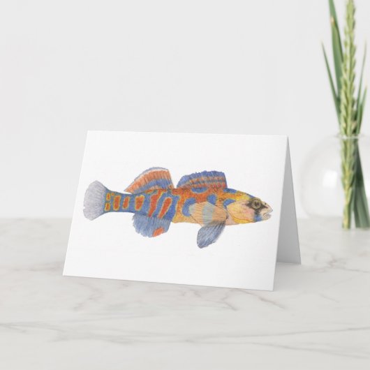 De Kaart van oranje-Throated Darter (Voorkant)