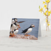 De Kaart van papegaaiduikers (Gele Bloem)