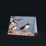 De Kaart van papegaaiduikers<br><div class="desc">Papegaaiduikers op een rots door het zeewenskaart dat worden neergestreken.  
 
krediet: USFWS</div>