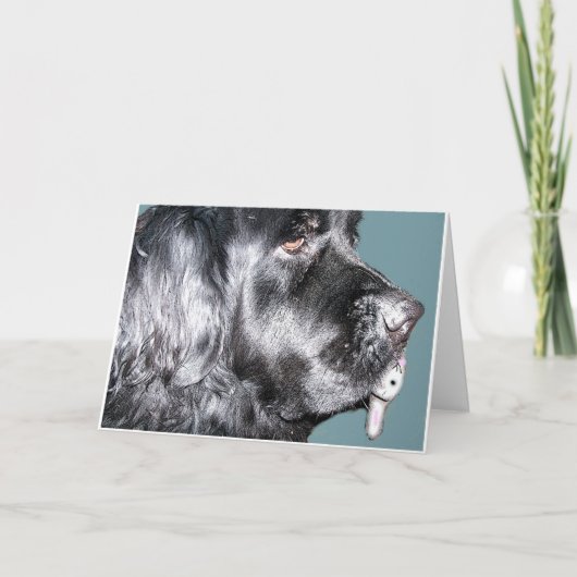 De Kaart van Pasen, de Hond van Newfoundland (Voorkant)