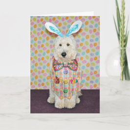 De Kaart van Pasen van Goldendoodle