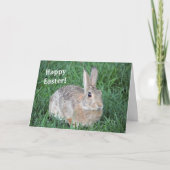 De Kaart van Pasen van het konijn (Voorkant)