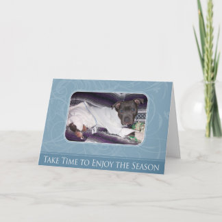 De Kaart van Pitbull van de vakantie