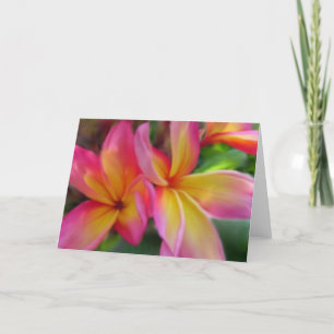 De Kaart van Plumeria