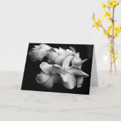 De Kaart van Plumeria (Gele Bloem)