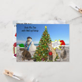 De Kaart van Steve en Jessica (Voorkant / Achterkant in situ)