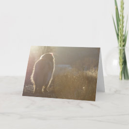 De kaart van Symapthy van Leonberger