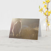 De kaart van Symapthy van Leonberger (Gele Bloem)