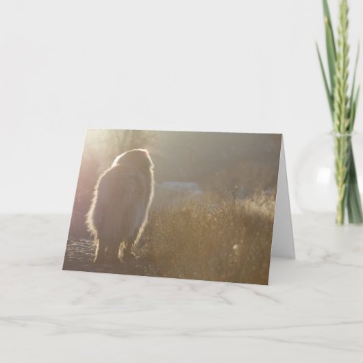 De kaart van Symapthy van Leonberger (Voorkant)