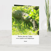 De Kaart van Sympath voor uw Verlies (Achterkant)