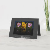 De Kaart van Tryptych van de zonnebloem (Achterkant)