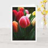 De Kaart van tulpen (Gele Bloem)