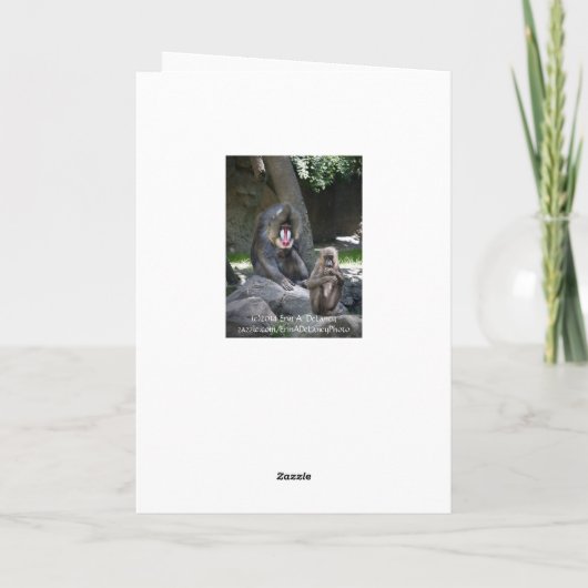 De Kaart van Vaderdag van de Aap van de mandril (Achterkant)