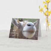 De Kaart van Vaderdag van de geit (Gele Bloem)