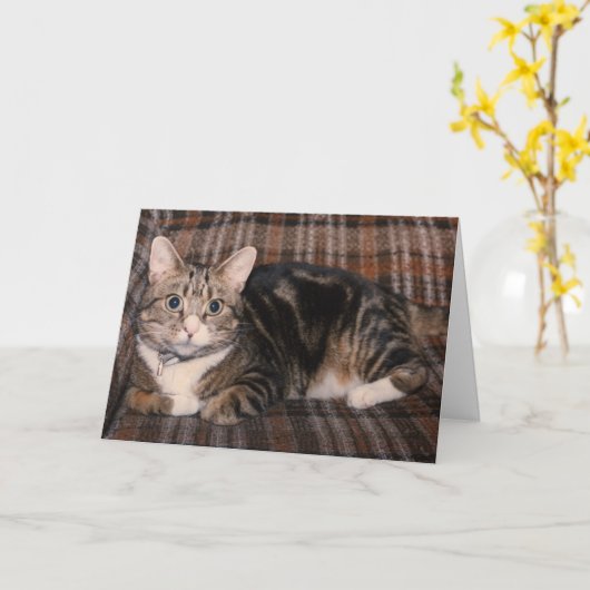 de kaart van Vaderdag van de gestreepte katkat (Gele Bloem)