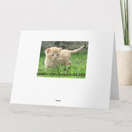 De Kaart van Vaderdag van het huisdier/van Katten (Achterkant)