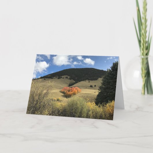 De Kaart van Valentijn met Hart Gevormde Espen (Voorkant)