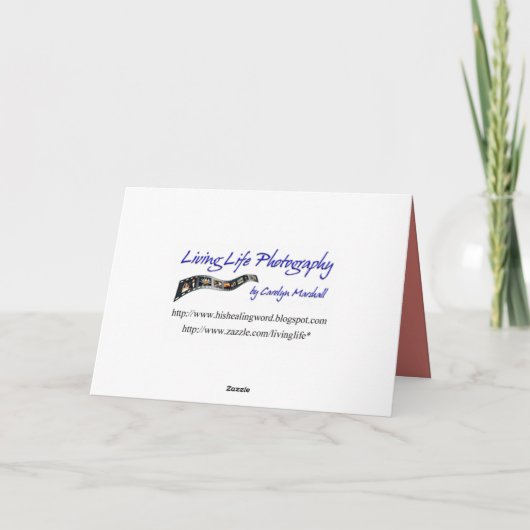 De Kaart van Valentijn van de Bij van de honing (Achterkant)