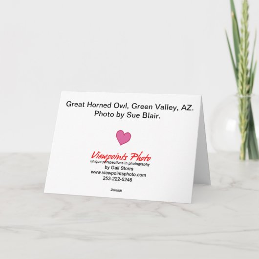 De Kaart van Valentijn van de uil (Achterkant)