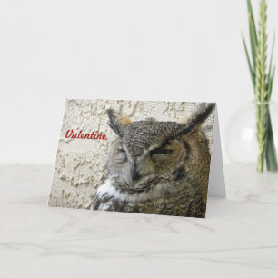 De Kaart van Valentijn van de uil