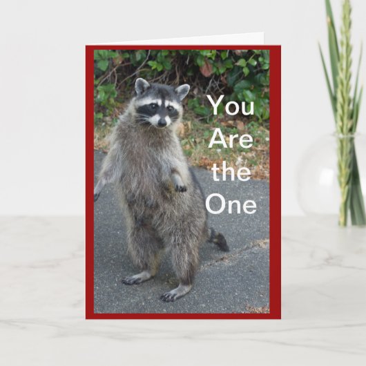 De Kaart van Valentijn van de wasbeer (Voorkant)