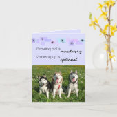 De Kaart van Verjaardag drie Huskies (Gele Bloem)