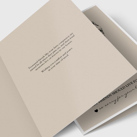 De Kaarten | Beste Vriend Samoyed van de Sympathie