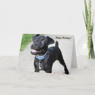 De Kaarten "Vakantie van de vakantie juichen " toe