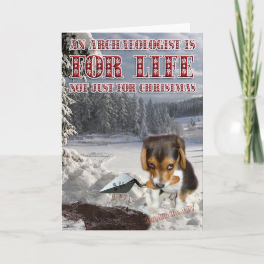 De Kaarten van Cristmas van Digby! (Voorkant)