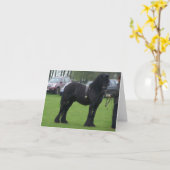 De kaarten van de de hengstnota van dallen (Gele Bloem)