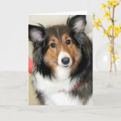 De Kaarten van de Groet/van de Nota van de (Gele Bloem)