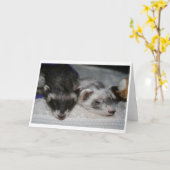 De Kaarten van de Groeten van Dwarsbalken weinig (Gele Bloem)