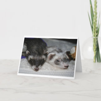 De Kaarten van de Groeten van Dwarsbalken weinig